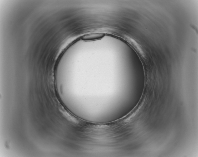 X0000096441184200801241111