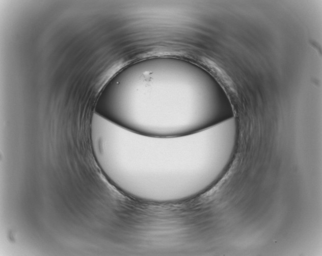 X0000096441185200801241111