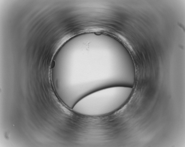 X0000096441186200801241111