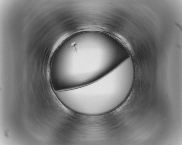 X0000096441188200801241111