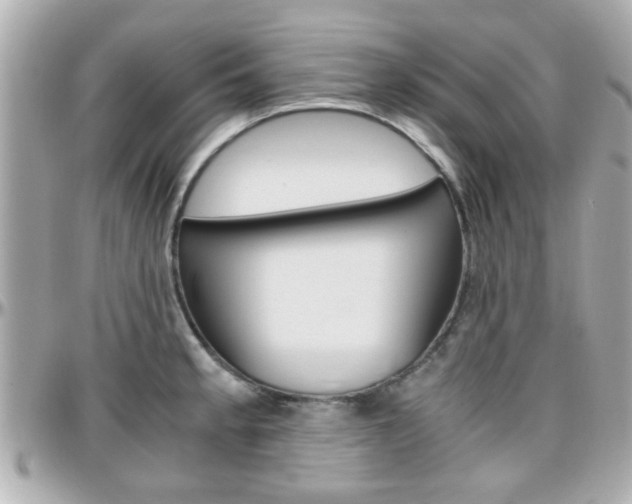 X0000096441189200801241111
