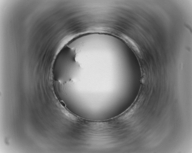 X0000096441192200801241111