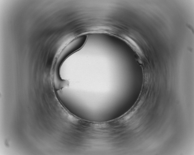 X0000096441196200801241111