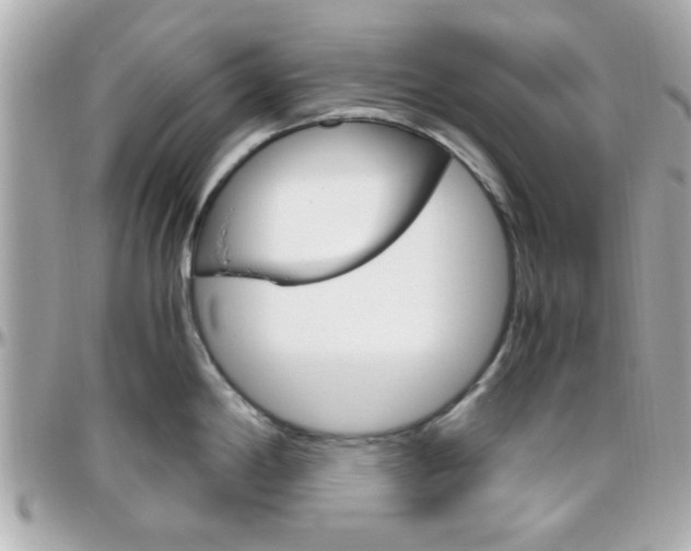 X0000096441198200801241110
