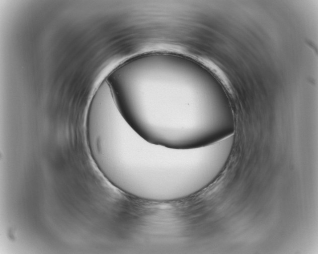 X0000096441199200801241110