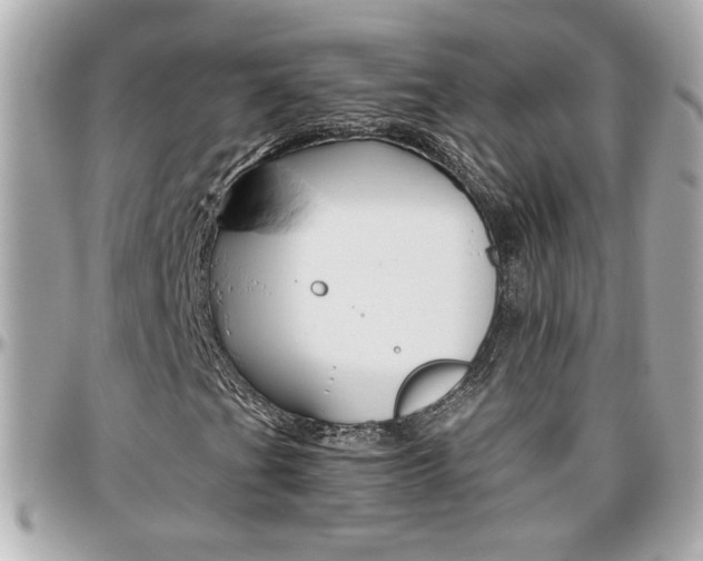 X0000096441201200801241110