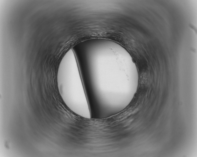 X0000096441202200801241110