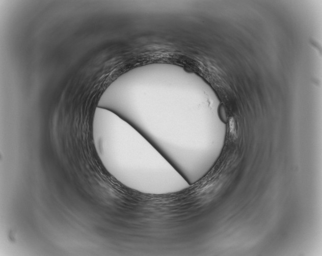 X0000096441203200801241110