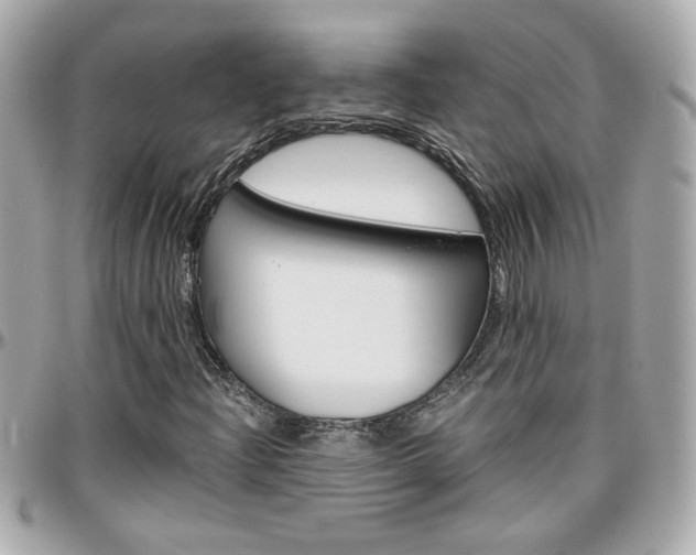 X0000096441204200801241110