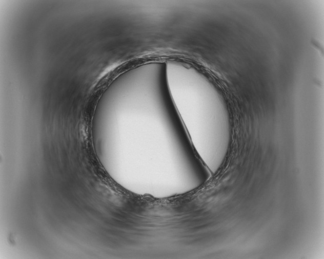 X0000096441206200801241110