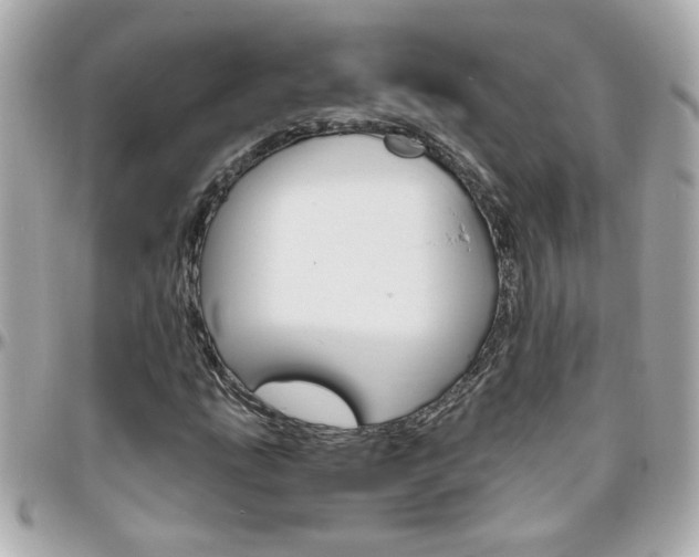 X0000096441207200801241110
