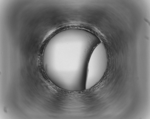 X0000096441208200801241110