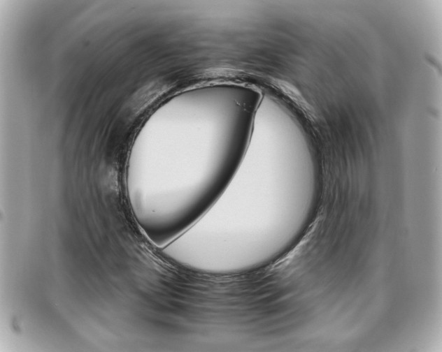 X0000096441209200801241110