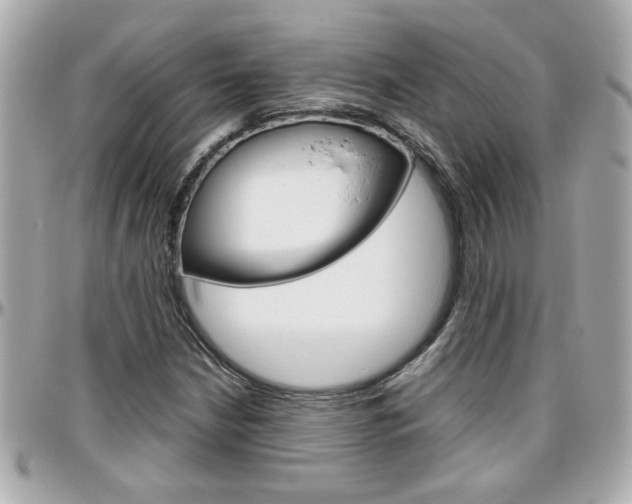 X0000096441210200801241110