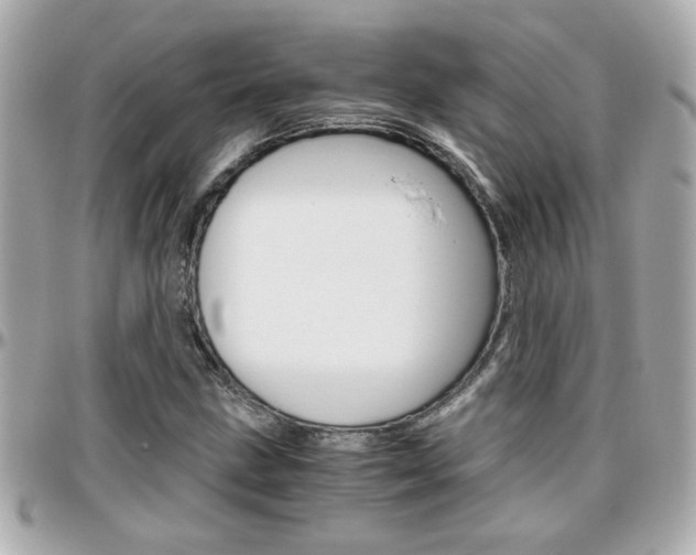 X0000096441211200801241110