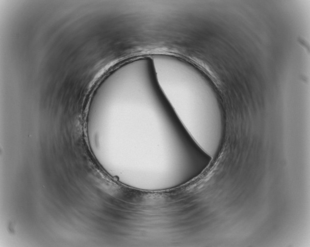 X0000096441212200801241110