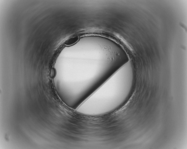 X0000096441213200801241110