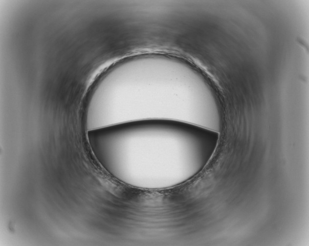 X0000096441214200801241110