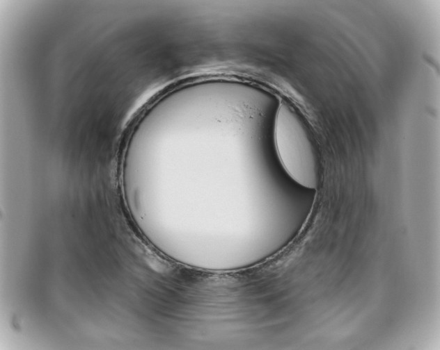 X0000096441216200801241110
