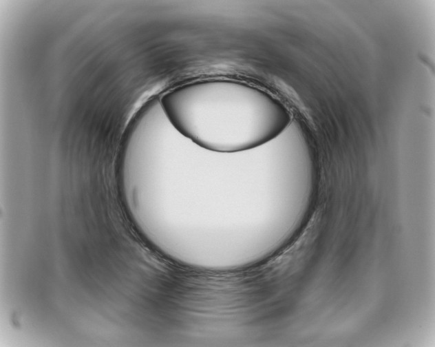 X0000096441218200801241110