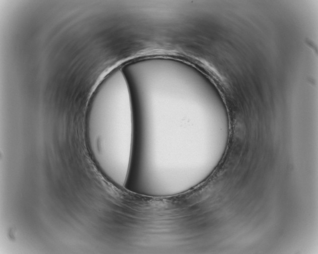 X0000096441220200801241110