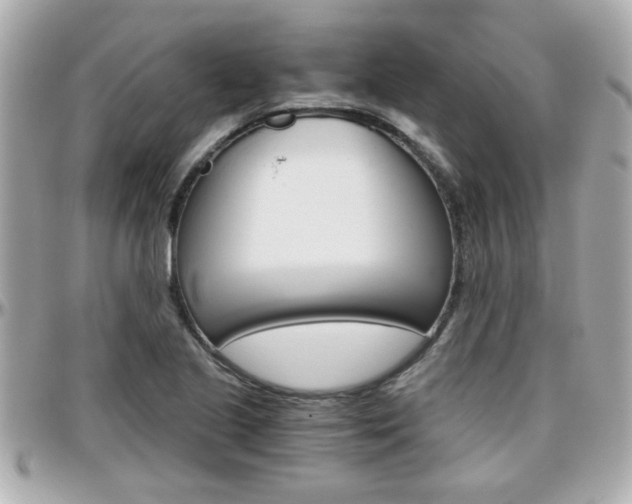 X0000096441221200801241110