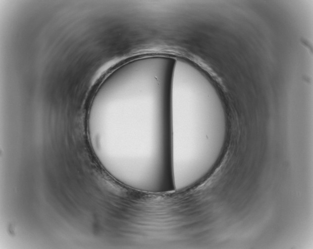 X0000096441222200801241110