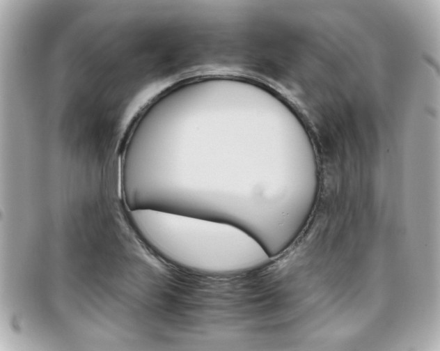 X0000096441223200801241110