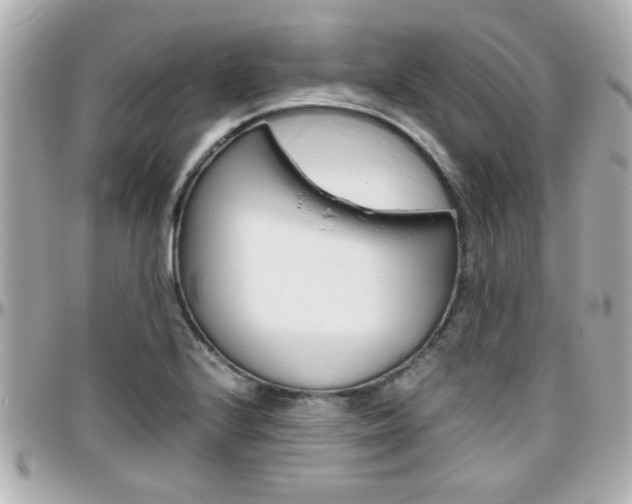 X0000096441224200801241110