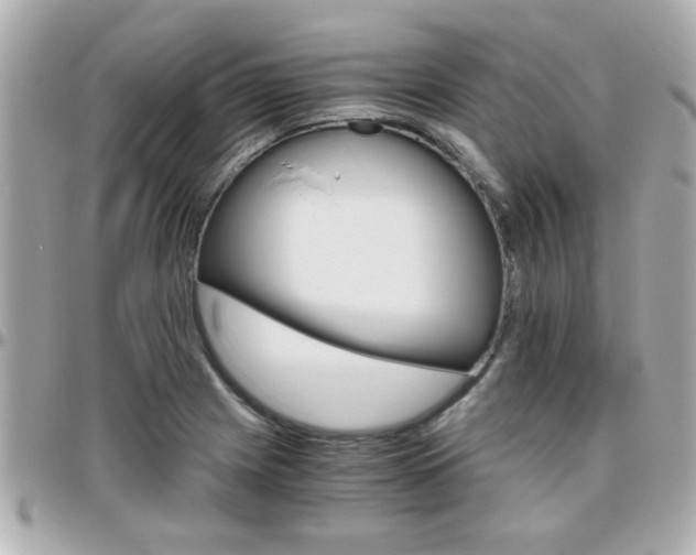 X0000096441225200801241110