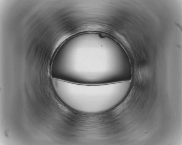 X0000096441226200801241110