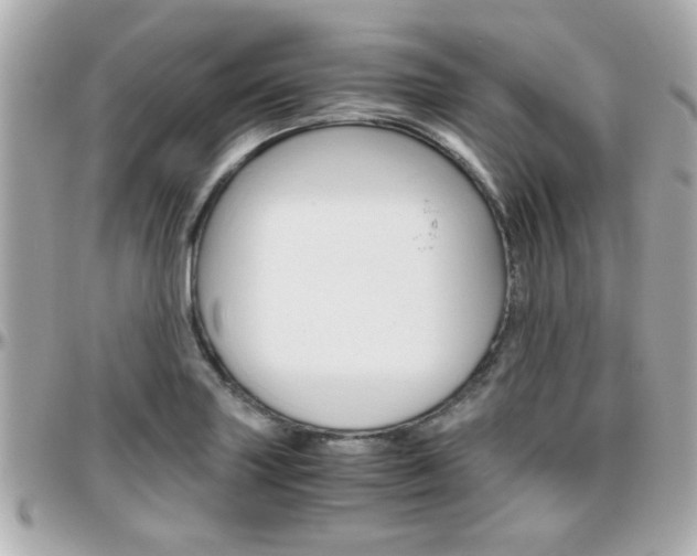 X0000096441227200801241110