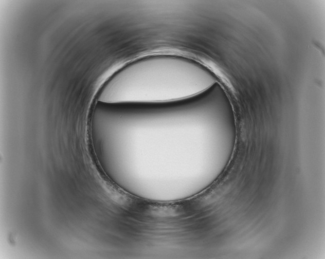 X0000096441229200801241110