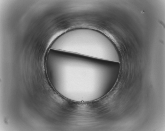 X0000096441230200801241110