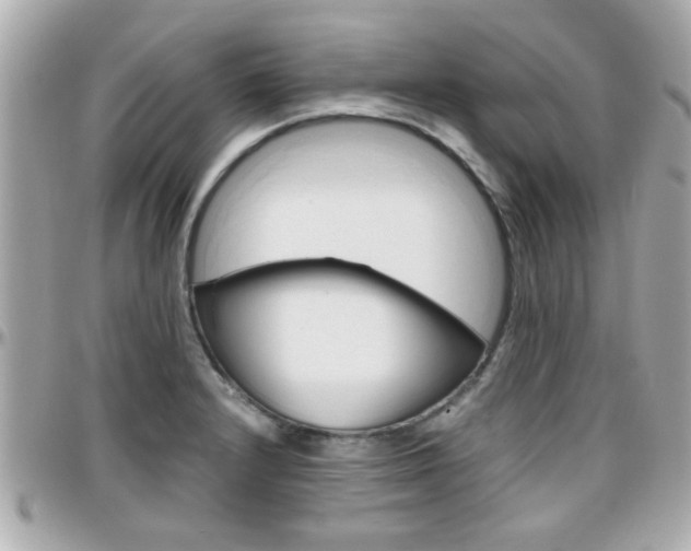 X0000096441232200801241110