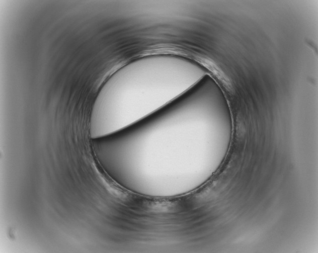 X0000096441233200801241110