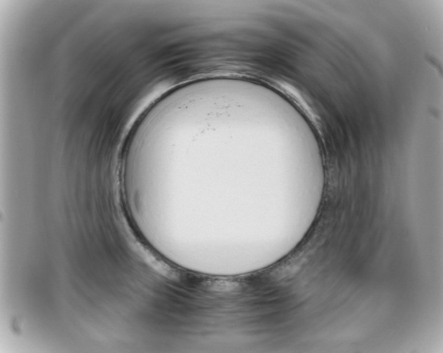 X0000096441235200801241110
