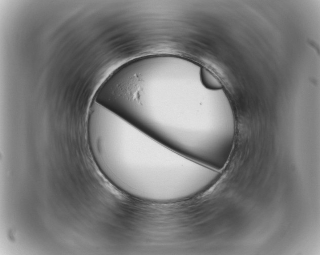 X0000096441236200801241110