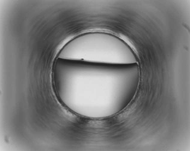 X0000096441237200801241110
