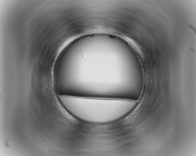 X0000096441238200801241110
