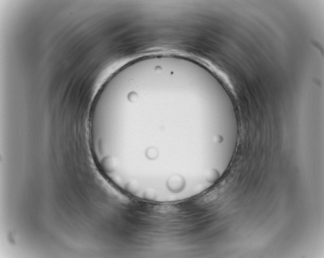 X0000096441239200801241110