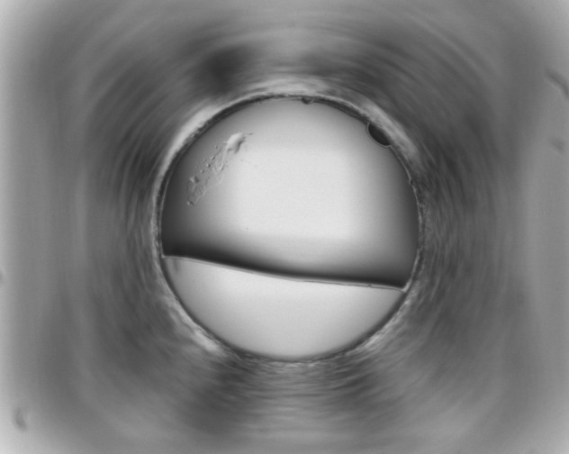 X0000096441240200801241110