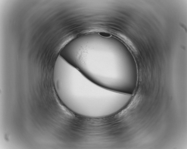 X0000096441241200801241110