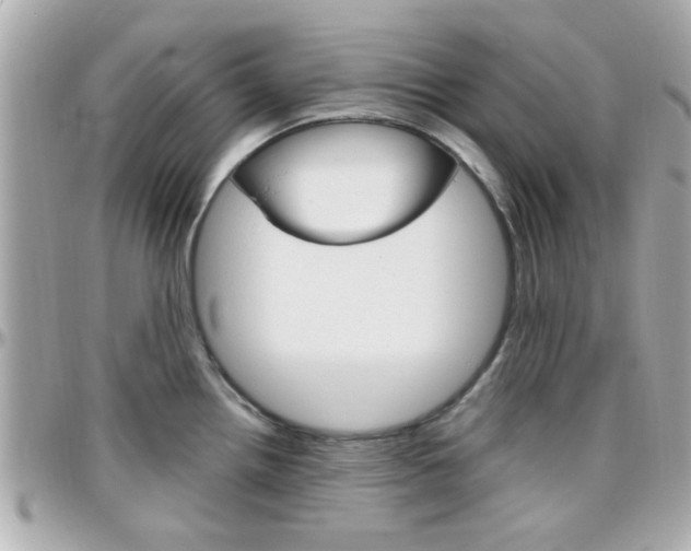 X0000096441242200801241110