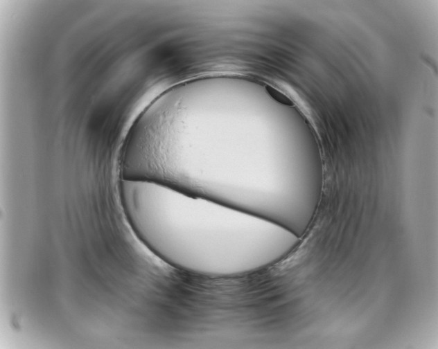 X0000096441243200801241110