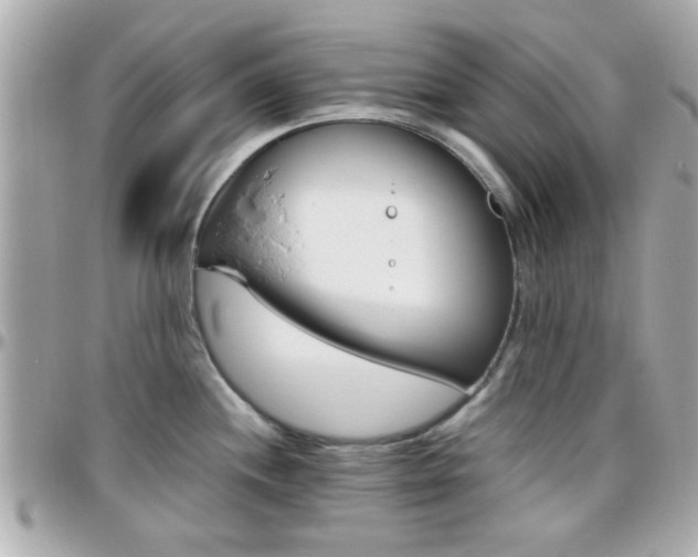 X0000096441244200801241110