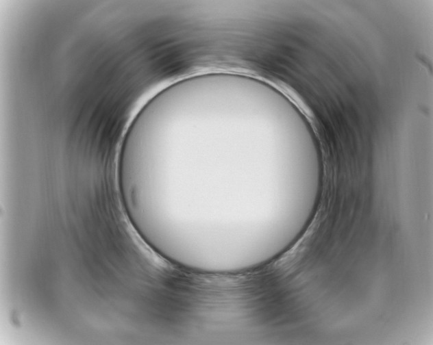 X0000096441246200801241110