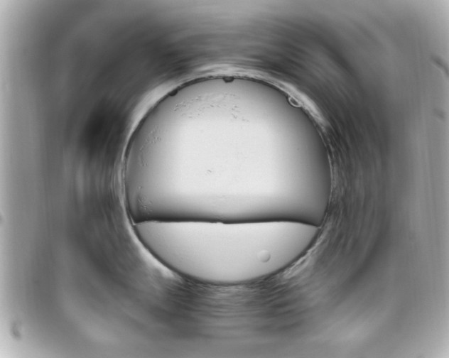 X0000096441247200801241110