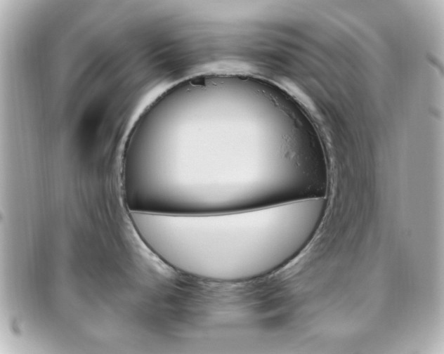 X0000096441248200801241110