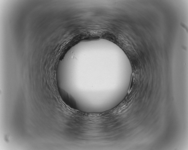 X0000096441249200801241110